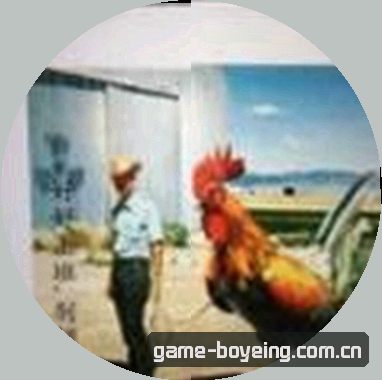 孙悦
